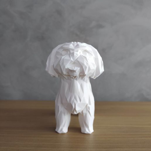 IMG_20211007_170416.jpg Низкополигональный Лхаса Апсо