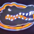 20230527_004439.jpg Florida Gators Light Up Logo