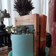 WhatsApp-Image-2024-06-10-at-15.32.20.jpeg Book End Planter