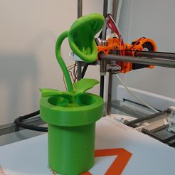 DSC_0314.JPG Archivo STL gratuito planta piraña・Idea de impresión 3D para descargar