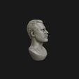 05.jpg Freddie Mercury 3D printable portrait
