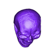 Skull.stl Skull Sculpture 3D Scan (Including Hollow Version)