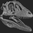 2.png Deinonychus Skull