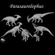 PARASAUROLOPHUS-MANADA-CUADRADA.jpg PARASAUROLOFO (Parasaurolophus walkeri)