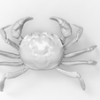 b.png Shanghai hairy crab