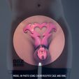 PrintTryOn_SuccuPlateB_01.jpg Chastity Plate Succubus A&B