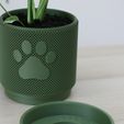 IMG_8082.jpg KNURLED PAW PLANTER