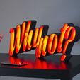 IMG_5154_2.jpg LED light letters "Why not?"