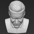 13.jpg Roger Federer bust 3D printing ready stl obj formats