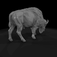 camera006.png American Bison Female Sculpture