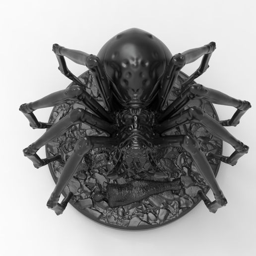 untitled.19.jpg Weaver-Giant Spider