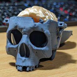 Boneheads: Schädel mit Gehirn - via 3DKitbash.com