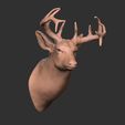 10-ZBrush-Document.jpg Deer head-WALL MOUNTED