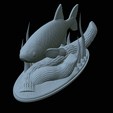 Perlin-20.png fish common rudd statue detailed texture for 3d printing