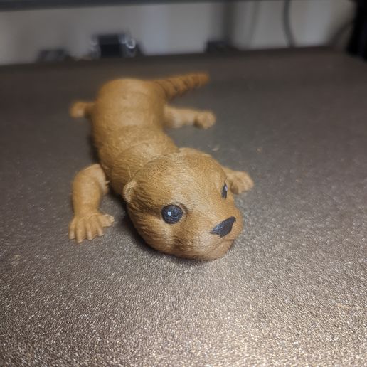 PXL_20221002_003004235.jpg Lontra bebé Flexi