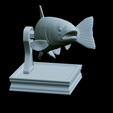 Rainbow-trout-trophy-28.png rainbow trout / Oncorhynchus mykiss fish in motion trophy statue detailed texture for 3d printing
