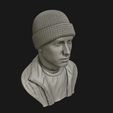 12.jpg Eminem 3D portrait sculpture 3D print model