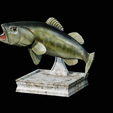 Bass-trophy-14.png Largemouth Bass / Micropterus salmoides fish in motion trophy statue detailed texture for 3d printing