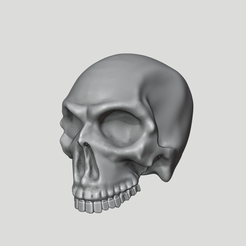 Bildschirmfoto_2020-05-16_um_16.17.40.png Human Skull - printable