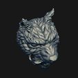 9.jpg Skull wolf scalp