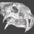 Screenshot-100.png Saber tooth skull HYBRID