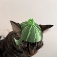 Watermelon-Hat-4.jpeg 🍉🍉Sombrero de gato de sandía 🍉🍉