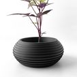 misprint-8474.jpg The Frons Planter Pot with Drainage | Tray & Stand Included | Modern and Unique Home Decor for Plants and Succulents  | STL File