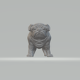 3.png Pug Dog 3D print model