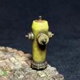 IMG_9250.jpg Fire Hydrant