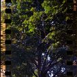 231010_O-ZonePano69_Fuji400_8-flickr.jpg O.Zone 6x9 3d Printed Medium Format Film Camera