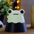 Loot_Boxes_Holoprops-31.jpg Kawaii Frog Loot Box - Print-in-Place - No Support