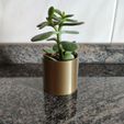 IMG_20210215_150213.jpg The most basic IKEA mini cactus pot