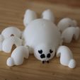 IMG_0278.jpg KAWAII FLEXI SPIDER. 3D DESING FOR 3D PRINTING (Print in place).