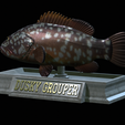 Dusky-grouper-18.png fish dusky grouper / Epinephelus marginatus statue detailed texture for 3d printing