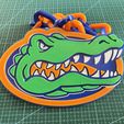 IMG_6480.jpeg Florida Gators Rede NCAAF