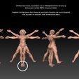 vitman-sep1-texted.jpg Vitruvian Character Display Royalty Free Version