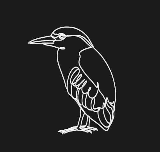 Black-crowned Night Heron 3 lineart 3d printed