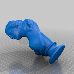 cff658c9-0eb3-40d9-ae72-33b70ba08d4e.png Free 3D file Venus Scanned with Revopoint MINI・3D printer design to download, Gauthier