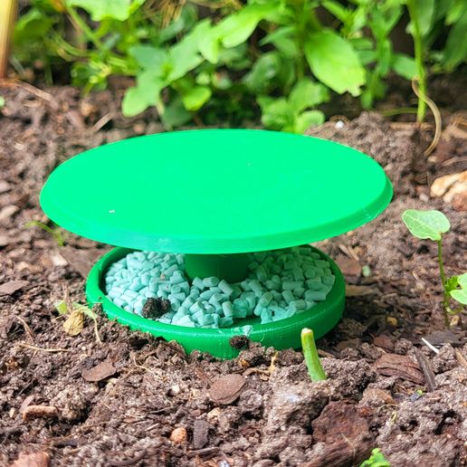 Snails food trap