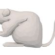 render-2.jpg Low Poly Mouse