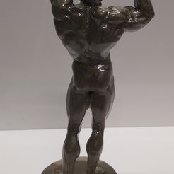 阿诺德-施瓦辛格 3D 模型 准备打印 3D 打印模型 3D 打印模型