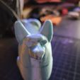 20220129_172229.jpg HeartbuttCorgi v.2.2