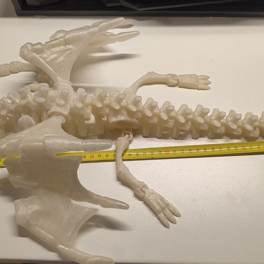 Skeleton Dragon 3D model