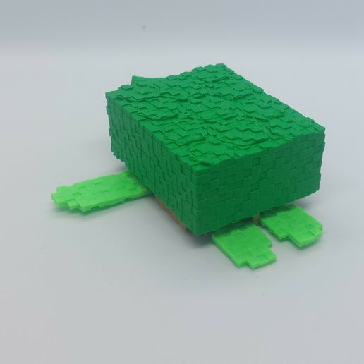 20240107_132405.jpg Minecraft Turtle