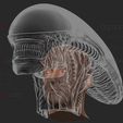 24.jpg Alien Xenomorph Head Decor Wearable Cosplay