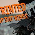 BatWingLaces AmieDD.jpeg Free STL file Lace Up Bat Wings・3D printable model to download