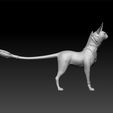 ca2.jpg fantasy Sphynx cat