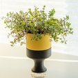 1.png Planter with Hidden Compartment