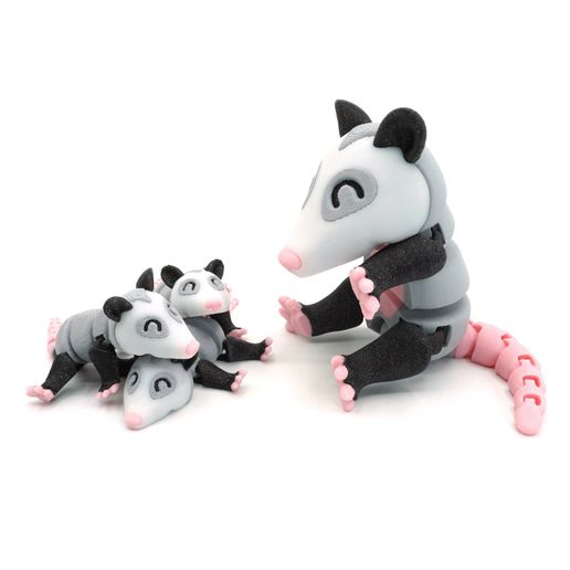 DSC03789.jpg Articulated Opossum