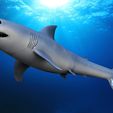 Shark1.3.jpg STL file Great white shark・3D printable model to download